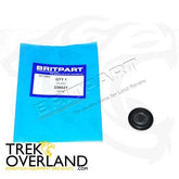PLUG - OEM - 338021